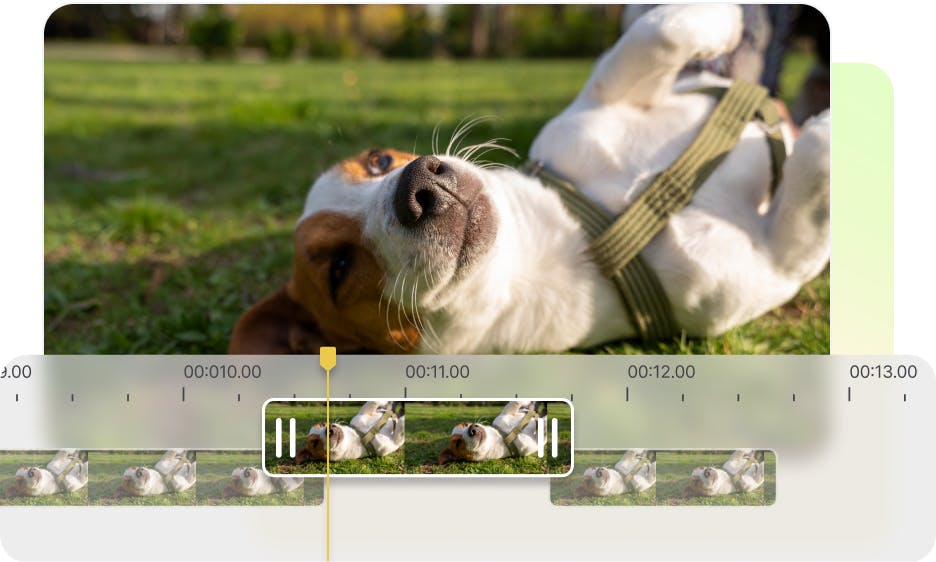video screenshot of a dog laying on the grass and a timeline editor at the bottom