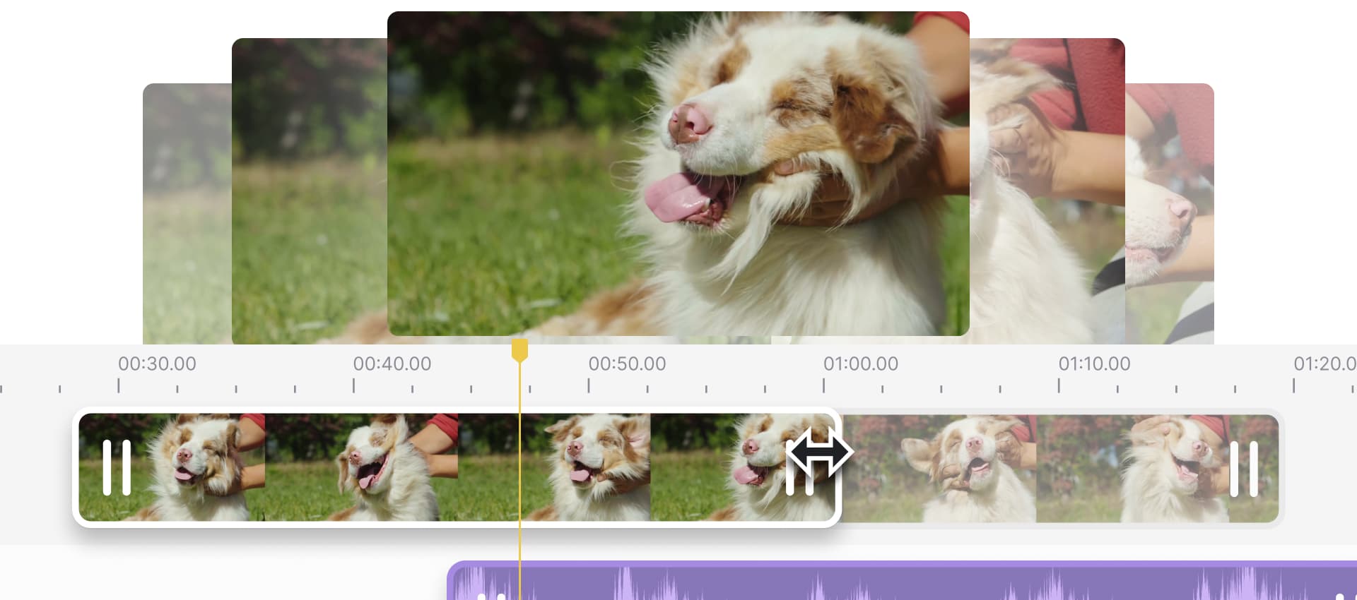 video editor showing a video of a dog and the option to trim the video at the bottom