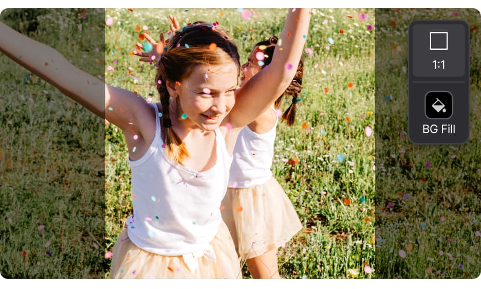 screenshot of a video with resizing options on the right hand side