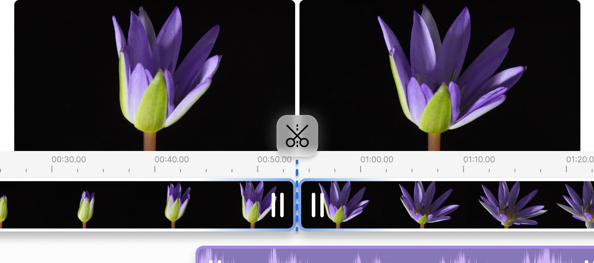screenshot of a split video screen of a video editor